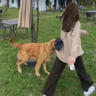 舞法天女之绚彩归来