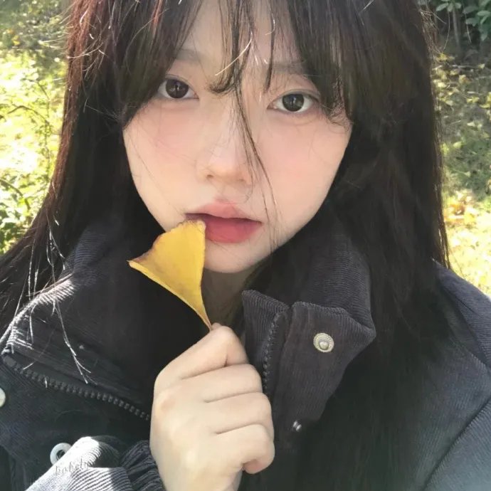 天网擒凶